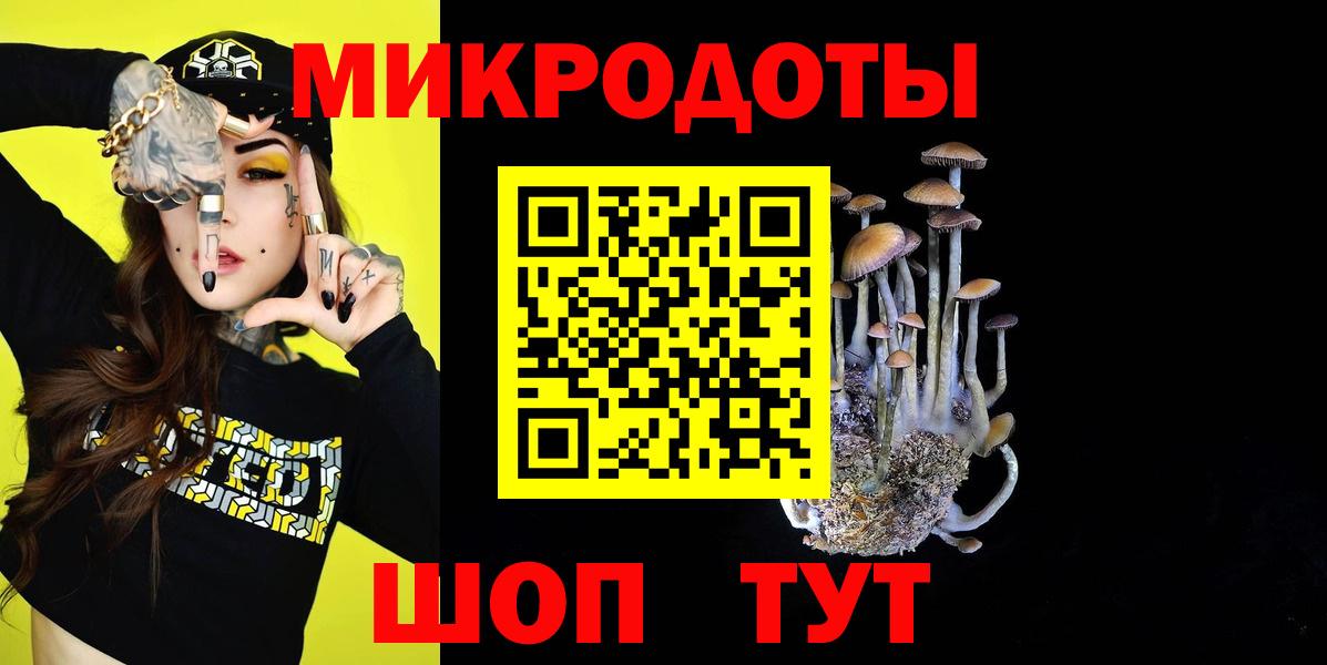 Сорочинск  Галлюциногенные грибы Psilocybe  Вход с VPN 